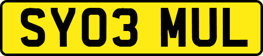 SY03MUL