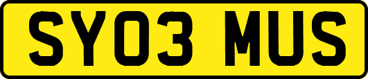 SY03MUS