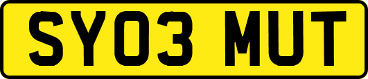 SY03MUT