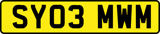 SY03MWM