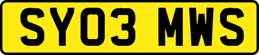 SY03MWS