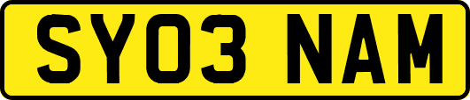 SY03NAM