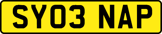 SY03NAP