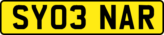 SY03NAR