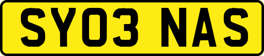 SY03NAS