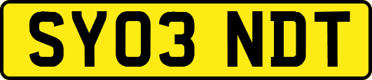 SY03NDT