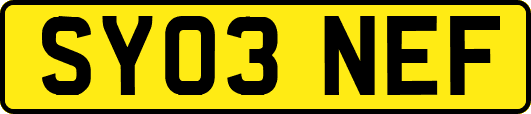 SY03NEF