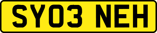 SY03NEH