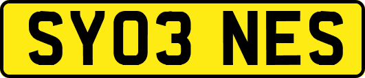 SY03NES
