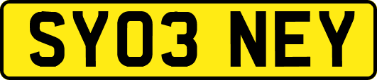 SY03NEY