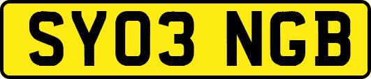 SY03NGB
