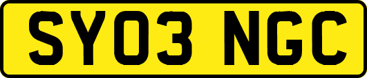 SY03NGC