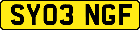 SY03NGF