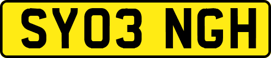 SY03NGH