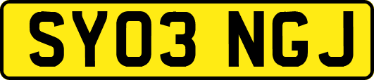 SY03NGJ
