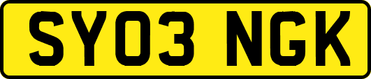 SY03NGK
