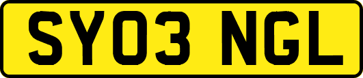 SY03NGL