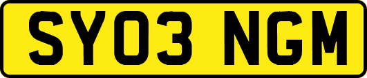 SY03NGM