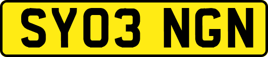SY03NGN
