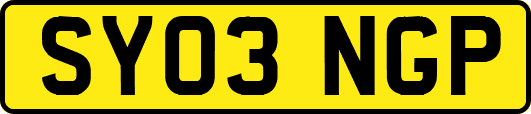 SY03NGP