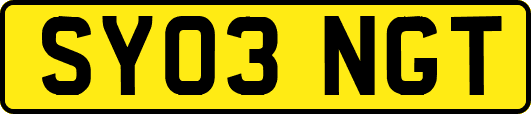 SY03NGT