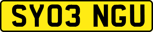 SY03NGU