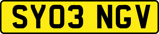 SY03NGV