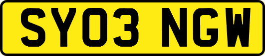 SY03NGW