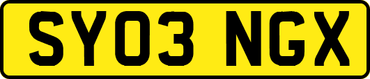 SY03NGX
