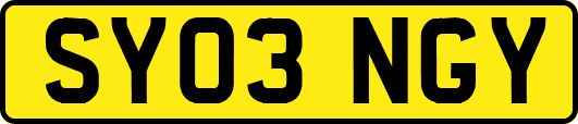 SY03NGY