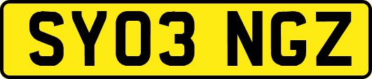 SY03NGZ