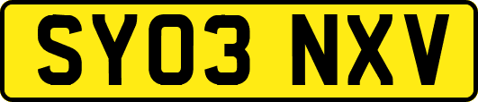 SY03NXV