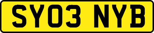 SY03NYB