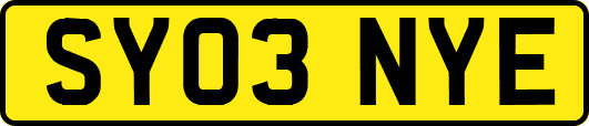 SY03NYE