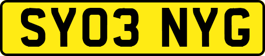 SY03NYG