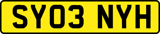 SY03NYH