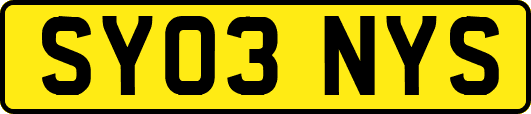 SY03NYS