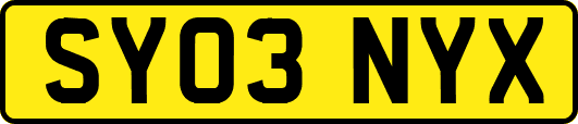 SY03NYX