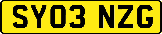 SY03NZG