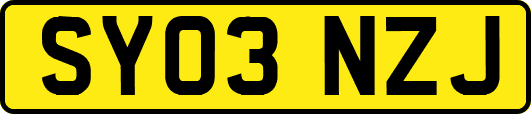 SY03NZJ