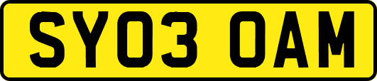 SY03OAM