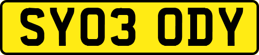 SY03ODY