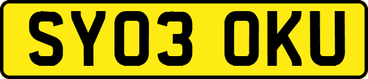 SY03OKU