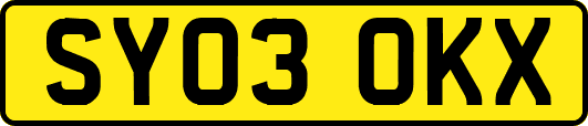 SY03OKX