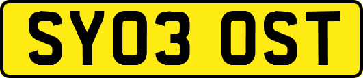 SY03OST