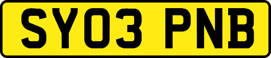 SY03PNB