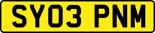 SY03PNM