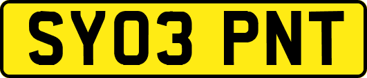 SY03PNT