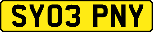 SY03PNY