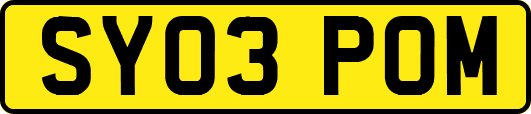 SY03POM